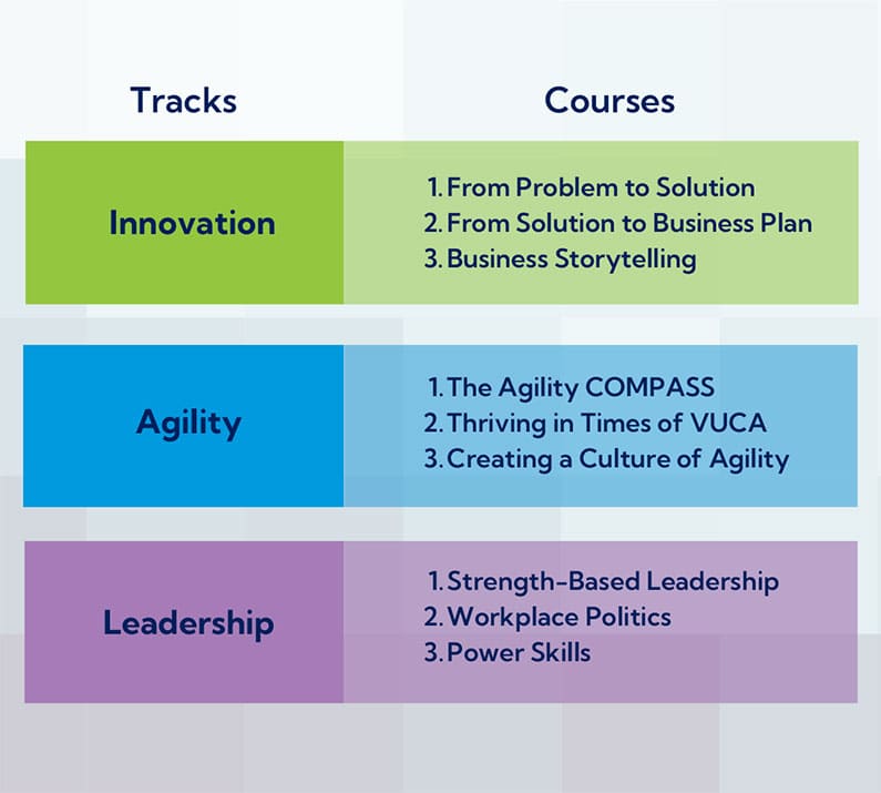 Intrapreneurship Academy Tracks and Courses